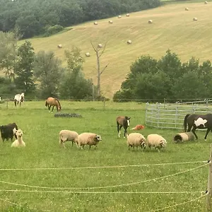 https://gite-la-ferme-avec-jacuzzi-et-piscine.midi-pyreneeshotels.com